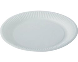 Papieren Borden – Ø 16 cm – Wit – 100 Stuks – Wegwerpborden – Geschikt voor Snacks, Taart & Catering