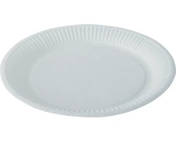 Papieren Borden – Ø 23 cm – Wit – 100 Stuks – Wegwerpborden – Voor Maaltijden & Buffetten