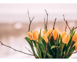 Papieren Placemats Onderleggers "Gele tulpen" 50 stuks (30x42cm)