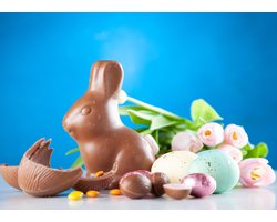 Papieren Placemats Onderleggers "Pasen paashaas" 50 stuks (30x42cm)