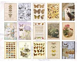 Papierset 60 Delig - Vlinders Hobbypapier - B023 - Notitieblok met 15 Soorten x 4 Stuks - Papier Voor Bullet Journal, Scrapbook, Kaarten Maken - Hobby Papier Set 60 Stuks