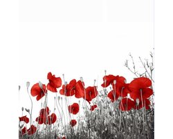 Papillon Douchegordijn - Textiel - Waterafstotend - 180x180 - Klaproos