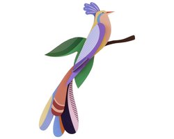 Paradise Bird - Bisa