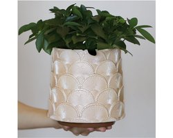 Parelblauwe Komvormige Bloempot – Kleurrijke Plantenpot Met Drainage – Eclectische Schattige Kleine Bloempot Voor Binnenplanten – Regenboog Design – Vrolijk Voor Succulenten En Tuinieren – Cadeau Idee