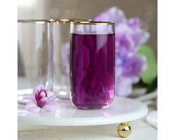 Pasabahce – longdrinkglazen Iconic – gouden rand – 365 ml – goud – set van 6
