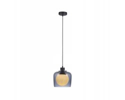 Paul Neuhaus Calopus Hanglamp - Moderne Grijs Metalen Lamp (E27)