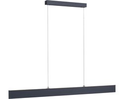 Paul Neuhaus - Hanglamp Nila L 121 cm antraciet