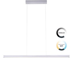 Paul Neuhaus Niro Hanglamp RVS 27 Watt incl. Dimmer
