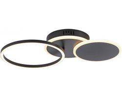 Paul Neuhaus - Plafondlamp Baikal 3 lichts zwart