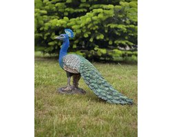 Pauw 42 cm hoog - polyester - polyresin - polystone - hoogkwalitatieve kunststof - decoratiefiguur - interieur - accessoire - voor binnen - voor buiten - cadeau - geschenk - Kerst - Nieuwjaar - tuinbeeld