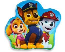Paw Patrol & Friends Pluche Fun Sierkussen - 35 x 35 x 15 cm