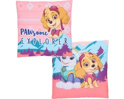 Paw Patrol Kussen Gevormd
