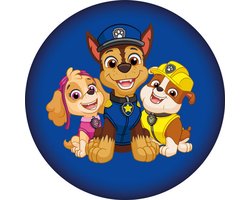 Paw Patrol Squad decoratief kussen 37x37 cm
