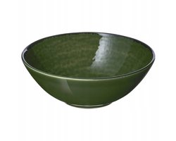 PELARKAKTUS Kom Kom 16cm Groen Steengoed - Duurzaam & Stijlvol