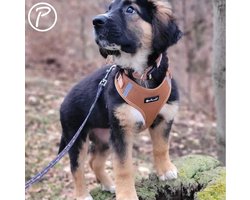 Petlando Hondenharnas Mesh Vest Cognac - Hondentuig - M 32-37/41-53 Cm