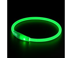 Pets n Paws Lichtgevende LED Halsband Hond - Lichtband Hond Oplaadbaar - Verknipbaar op Maat - One Size Fits All - Groen