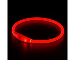 Pets n Paws Lichtgevende LED Halsband Hond - Lichtband Hond Oplaadbaar - Verknipbaar op Maat - One Size Fits All - Rood