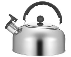 Peysaitr - RVS Teapot - Teapots voor Stove - 1.2L Waterkoker - Geschikt voor gasfornuis en inductie - Veilig handvat - Zilver - 1 stuk