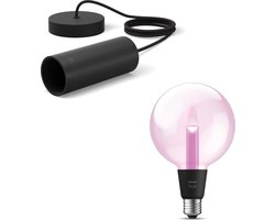 Philips Hue Lightguide Hanglamp (Zwart) - E27 - Wit en Gekleurd Licht - Incl. 1 Hue Lightguide Globe Lamp Groot (G125) - Hue White and Color Ambiance