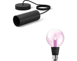 Philips Hue Lightguide Hanglamp (Zwart) - E27 - Wit en Gekleurd Licht - Incl. 1 Hue Lightguide Globe Lamp Klein (G95) - Hue White and Color Ambiance