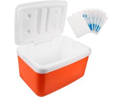 Picknick Voedselbox - Geïsoleerde Mand - Buiten Eten - Grote Capaciteit - 31.5x23x21 cm - Diverse Kleur