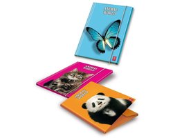 Pigna File Folder 6 pcs Papier Geel 260 x 345 mm