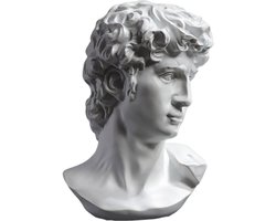 PIGPIGFLY Michelangelo's David Buste Beeld, Woonkamerdecoratie, Woonwinkeldecoratie, Moderne Ornamenten, Polyresin, Cadeau