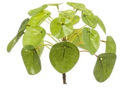 Pilea Mini Bush - Kunstplant - ↑ 15 cm
