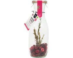 Pineut ® Kerstcadeau - Watertwist - Tafelwater Cranberry, Kers & Rozemarijn - BIO - Waterkaraf met deksel - Waterkan Glas 1L - Orginineel cadeau voor de winter - Water met een smaakje - Hervulbaar - Gezond & Gezellig genieten