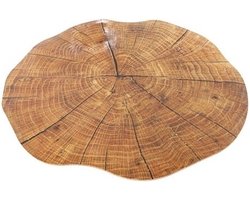 Placemat - 4x - boomstam print - kruk/kunststof - Rond - 38 cm - boomstronk - onderlegger