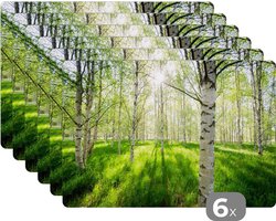 Placemat - Placemats kunststof - Berk - Bos - Lente - 45x30 cm - 6 stuks - Hittebestendig - Anti-Slip - Onderlegger - Afneembaar