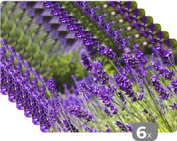 Placemat - Placemats kunststof - Heldere paarse lavendel in de natuur - 45x30 cm - 6 stuks - Hittebestendig - Anti-Slip - Onderlegger - Afneembaar
