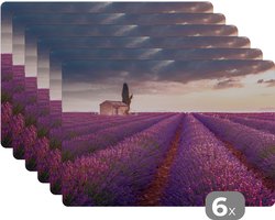 Placemat - Placemats kunststof - Lavendel - Bloemen - Paars - Veld - 45x30 cm - 6 stuks - Hittebestendig - Anti-Slip - Onderlegger - Afneembaar