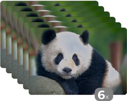 Placemat - Placemats kunststof - Panda - Wilde dieren - Portret - Steen - 45x30 cm - 6 stuks - Hittebestendig - Anti-Slip - Onderlegger - Afneembaar