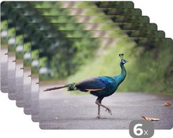 Placemat - Placemats kunststof - Pauw - Dieren - Veren - 45x30 cm - 6 stuks - Hittebestendig - Anti-Slip - Onderlegger - Afneembaar
