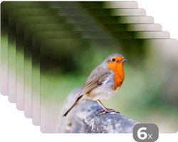 Placemat - Placemats kunststof - Roodborstje - Tak - Hout - 45x30 cm - 6 stuks - Hittebestendig - Anti-Slip - Onderlegger - Afneembaar