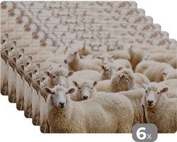 Placemat - Placemats kunststof - Schapen - Wol - Wit - 45x30 cm - 6 stuks - Hittebestendig - Anti-Slip - Onderlegger - Afneembaar