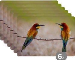 Placemat - Placemats kunststof - Vogels - Bijeneter - Dieren - 45x30 cm - 6 stuks - Hittebestendig - Anti-Slip - Onderlegger - Afneembaar