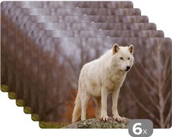 Placemat - Placemats kunststof - Wolf - Steen - Wit - 45x30 cm - 6 stuks - Hittebestendig - Anti-Slip - Onderlegger - Afneembaar