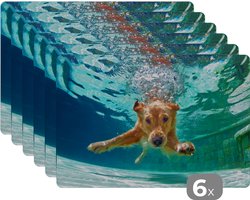 Placemat - Placemats kunststof - Zwembad - Hond - Water - 45x30 cm - 6 stuks - Hittebestendig - Anti-Slip - Onderlegger - Afneembaar