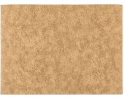 Placemat TROJA - SET/6 - kunstleer - 33x45 cm, goud