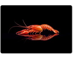 Placemats Set - Tafelonderleggers - Tafel Beschermen - Waterproof Vinyl - 6 Stuks 45x30cm - Kreeft Oranje