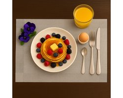 Placemats - Zilver - 45 x 30 cm - 6 Stuks - onderleggers - water afstotend - afneembaar - anti-slip - hitte bestendig - flexibel - geweven - tafelmatten - tafelaankleding - ideale tafeldecoratie