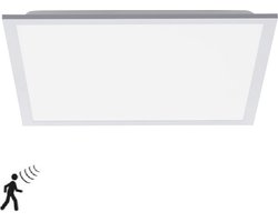 Plafondlamp Fleet Wit incl. Bewegingssensor 45cm