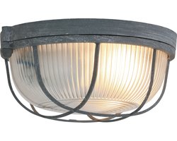 Plafondlamp Lisanne 1342GR Grijs - Dimbaar, E27 fitting, Metaal, Glas - Mexlite - Industrieel Ontwerp (Diameter 17cm, Hoogte 8cm)
