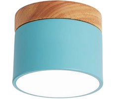 Plafondlamp Modern Slaapkamer Plafonnière 7W voor Hal Woonkamer Eetkamer Wit Licht Blauw
