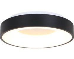 Plafondlamp Steinhauer Ringlede - Zwart