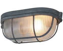 Plafondlamp/wandlamp Lisanne 1340G Grijs E27 - Industrieel - Metaal en Glas - 21 cm lengte, 10.5 cm uitsteeksel - Mexlite