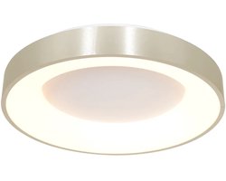 Plafonnier Ringlede 2562ZI Zilver Ø38cm - Modern Design van Steinhauer, Materiaal: Elektronica, Kunststof en Metaal, Geschikt voor Binnengebruik
