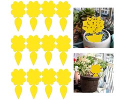 Plakvallen voor insecten - Insectenlokkers - Vliegenvallen - Insectenstickers - Voor het vangen van ongedierte op kamerplanten - Verpakking van 12 stuks